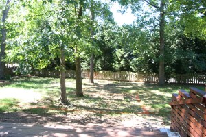 Mark and Stringed area