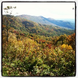 Fall colors - view of mountains