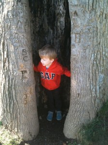 Sheltering from the wind