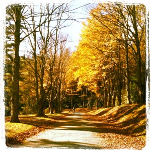 Walk around Bass Lake