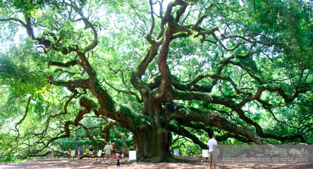 AngelOak_Full_SC