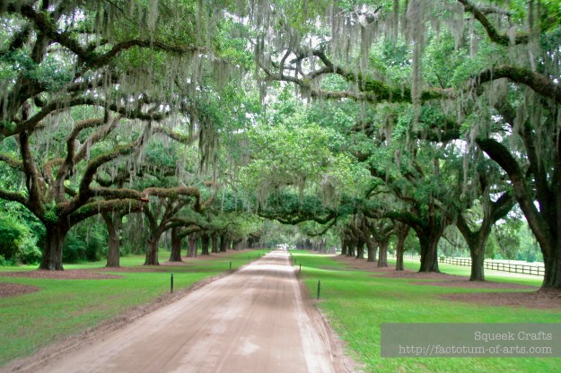 BooneHallPlantation_OakAvenue