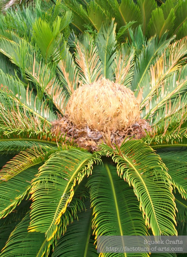 BooneHallPlantation_Plant