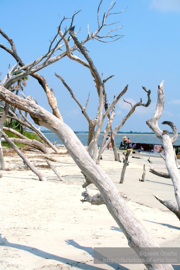 MorrisIslandLighthouse_Driftwood