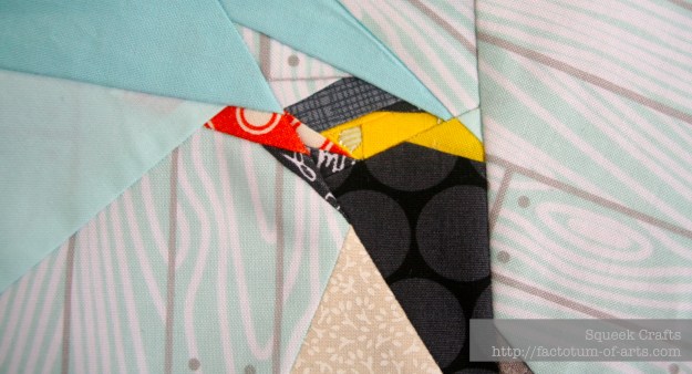 YellowEyedPenguin_Eye