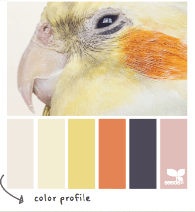 Screen Shot 2014-07-03 at 12.31.06 AM