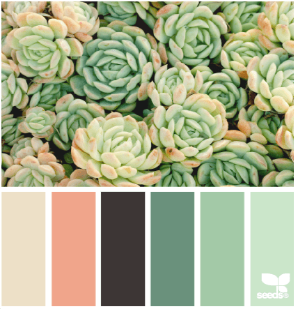 Screen Shot 2014-07-31 at 11.47.37 PM