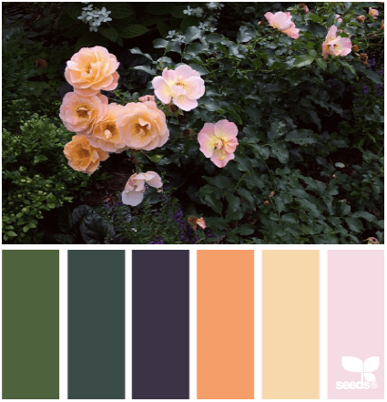 Screen Shot 2014-09-04 at 6.29.52 PM