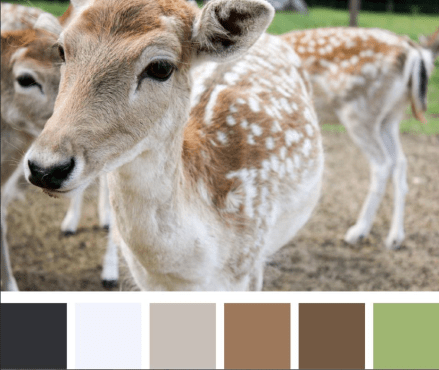 Screen Shot 2014-10-14 at 9.52.30 AM