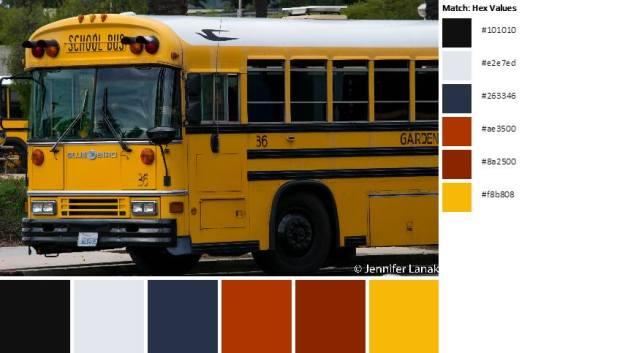 Bus_Palette_13Feb
