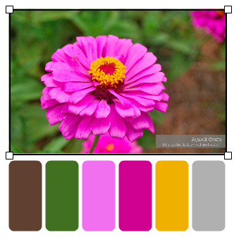 BooneHallPlantation_Flower1_palette