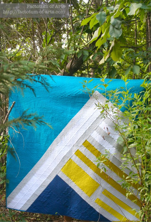 Altitudinal Ecosystem Forest