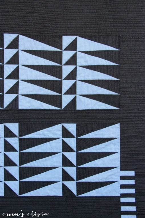 quilting from every angle mesa quilt owens olivia