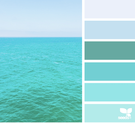 Screen Shot 2016-02-01 at 12.04.18 AM