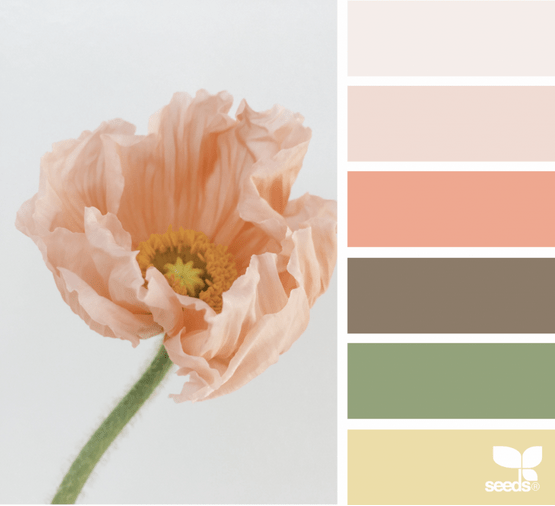 Re-engaging Mental Pathways {Quilt Design a Day} | Factotum of Arts